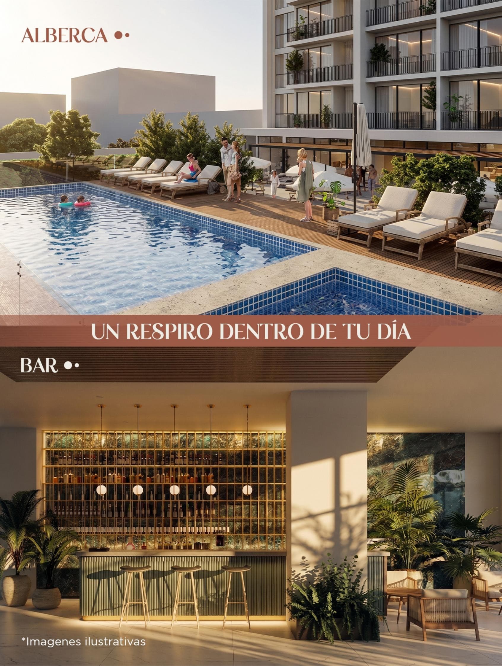 Alberca y bar