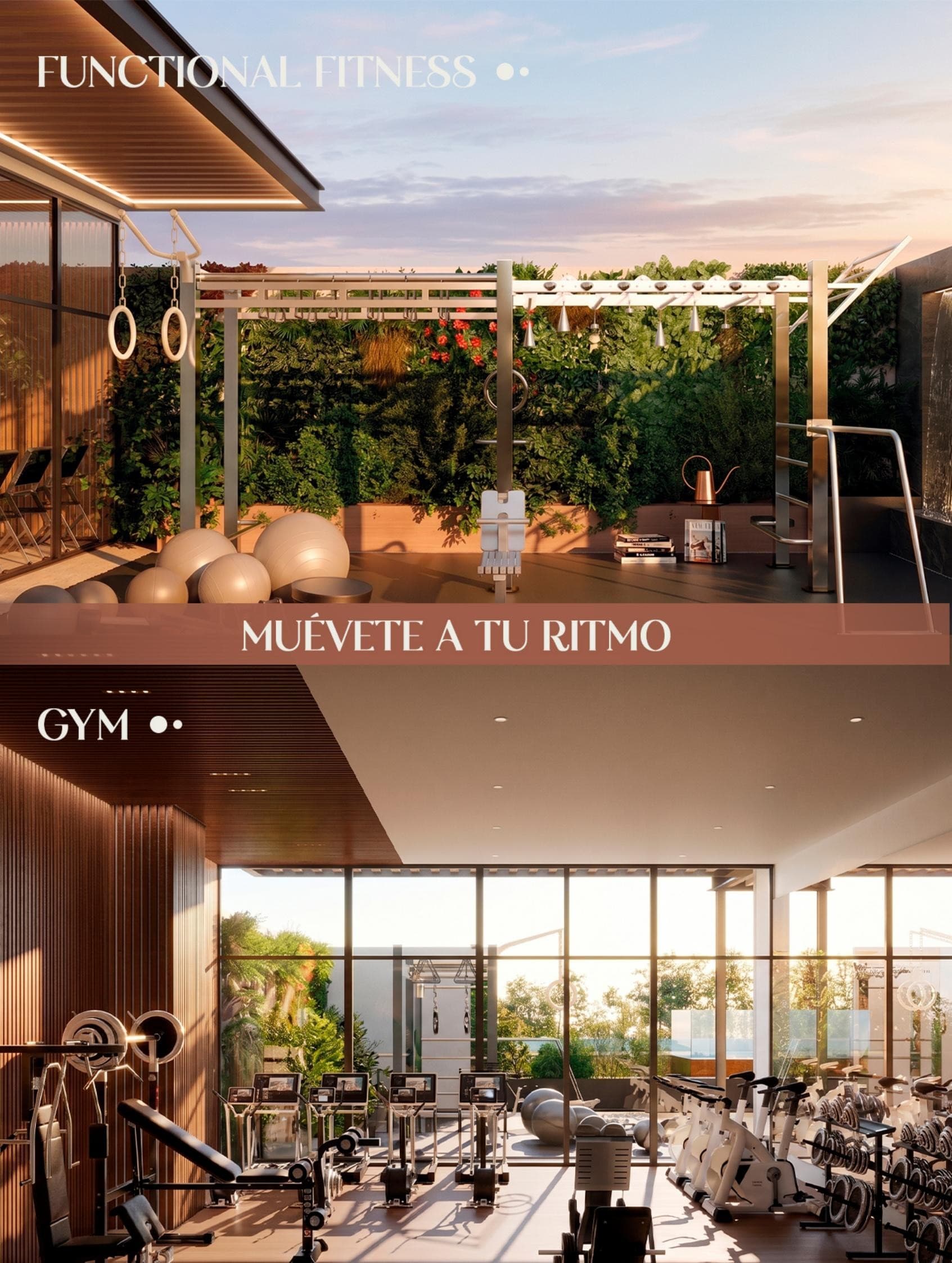 Gimnasio